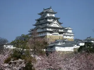 Castle Himeji sakura01 adjusted.jpg